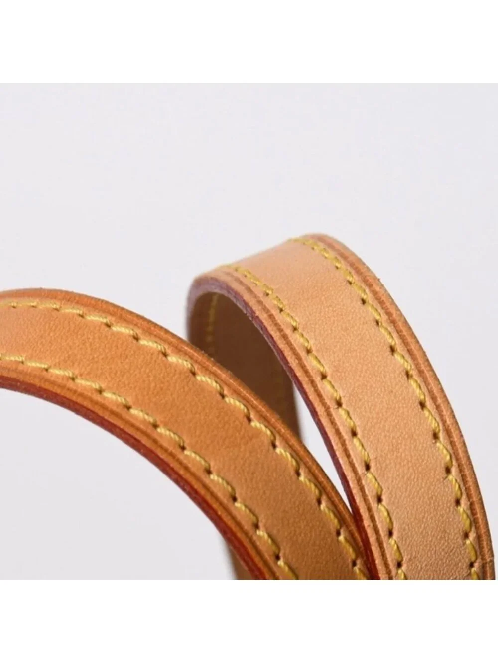 Louis Vuitton brand louis